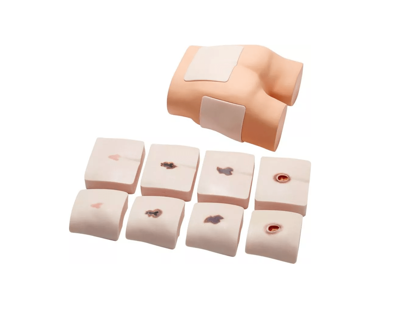 Trainingsphantom für Ultraschalluntersuchung tiefer Gewebeschäden - Erler - Zimmer